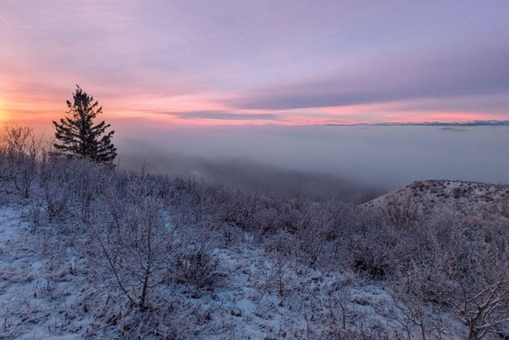 Dinosaur Provincial Park