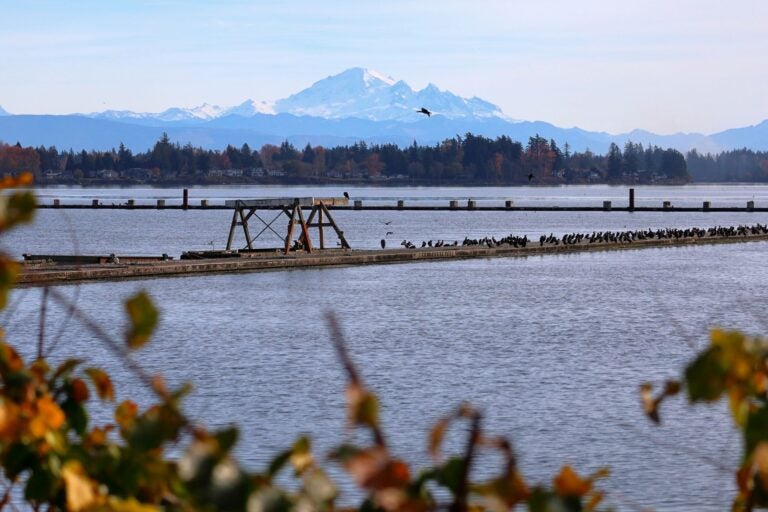 Mount Baker and Cascade Range rise above Drayton Harbor at Semiahmoo