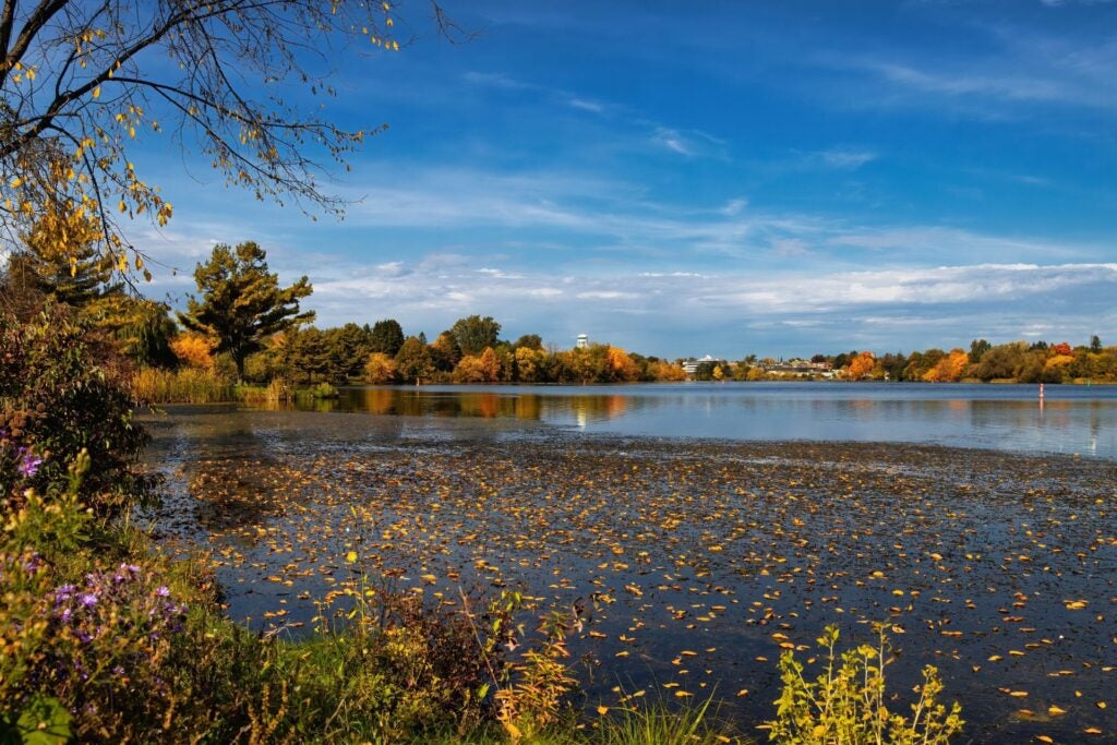 A Panoramic View of Smiths Falls