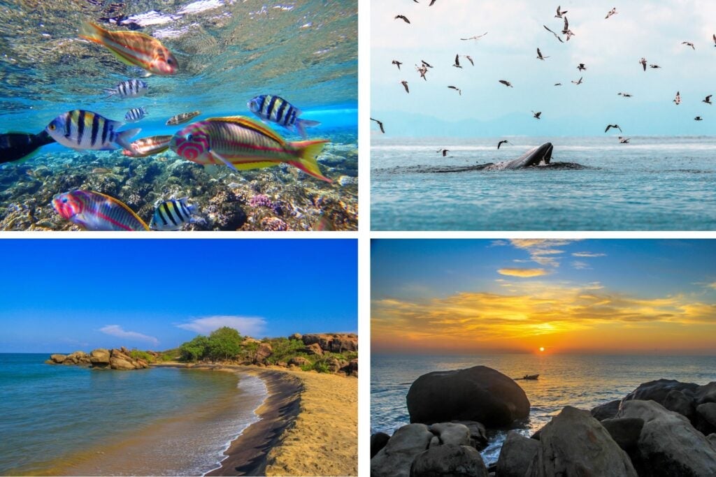 Beaches in Sri Lanka where you can dive