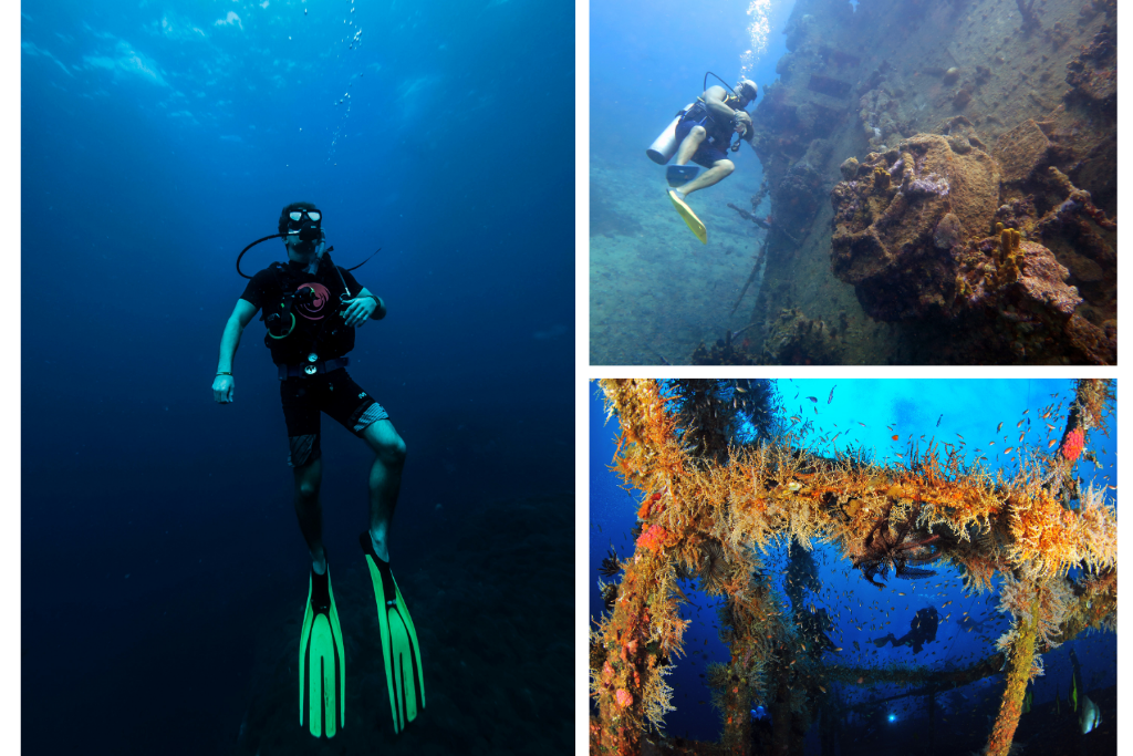 Diving in Aruba: Exploring shipwrecks and artificial reefs under the Caribbean Sea