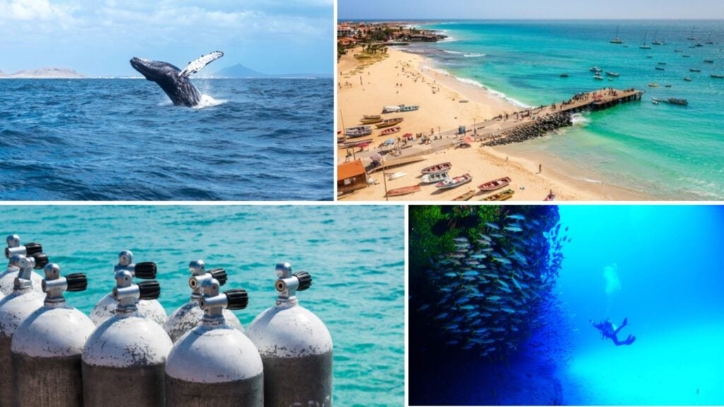 best diving spots in cape verde best diving spots in cape verde