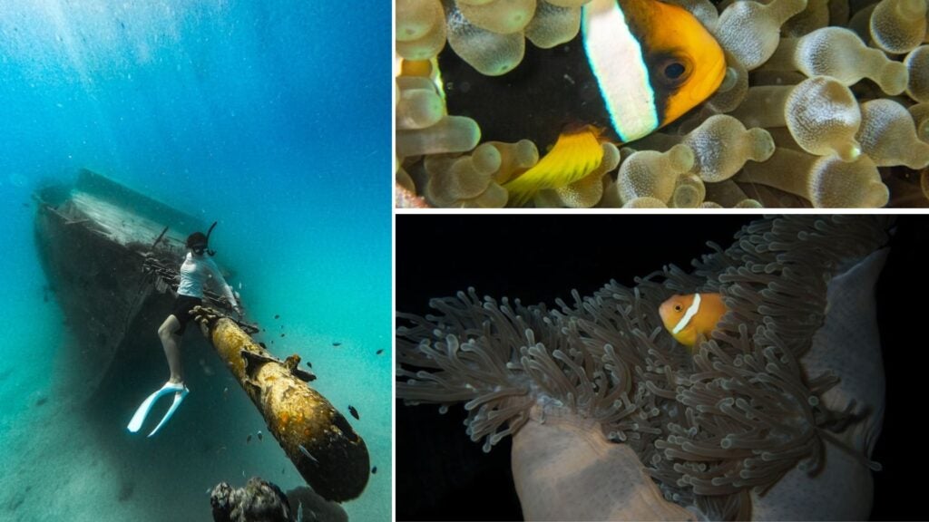 scuba diving in maldives