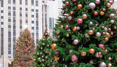 Christmas tree in new york