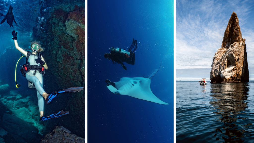 Kicker Rock and the Galápagos seafloor.