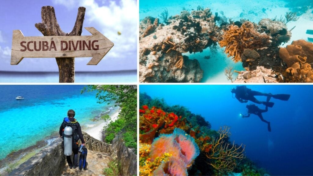 diving costs in cozumel