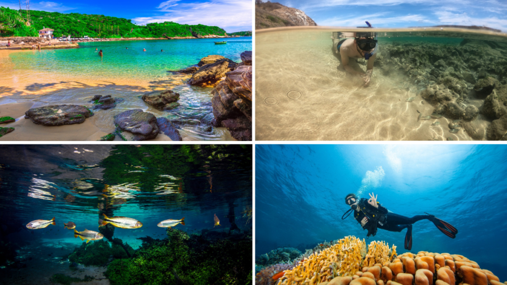 Places where you can go diving in Rio de Janeiro, Brazil.