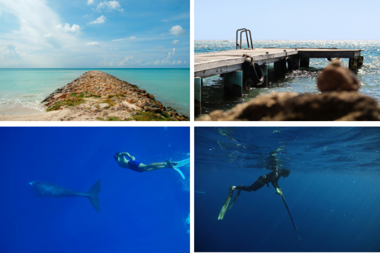 Examples of diving in Aruba, and images of places to dive in Aruba