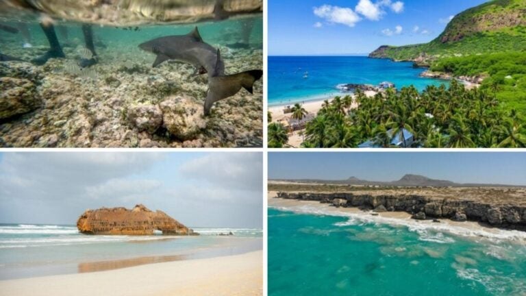 cape verde diving guide