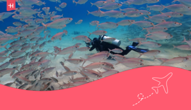 diver swimming in a school of fish in Aruba