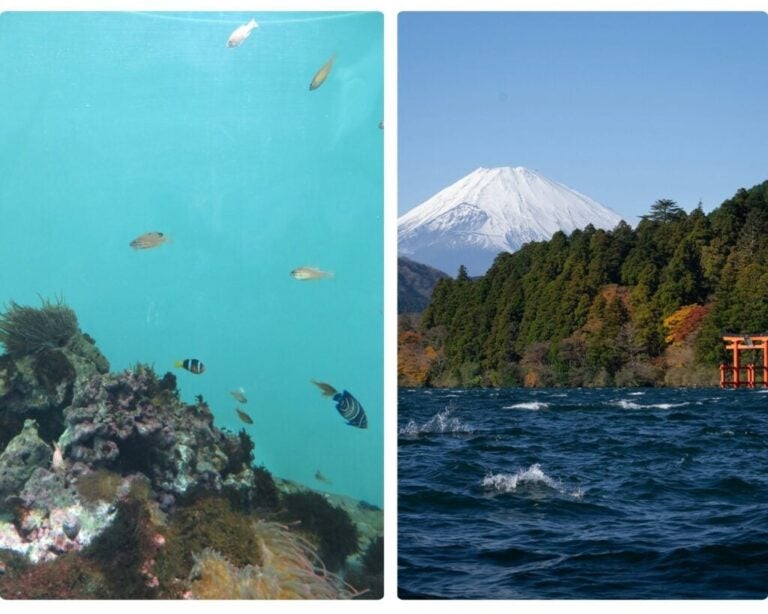 Diving in Japan, Interesting Parts