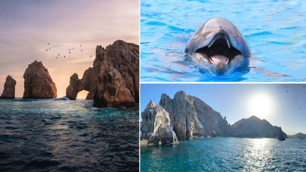 scuba diving in san andres