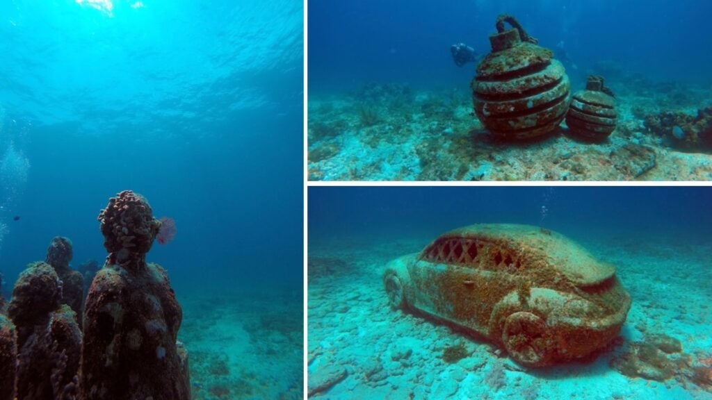 scuba diving in mexico