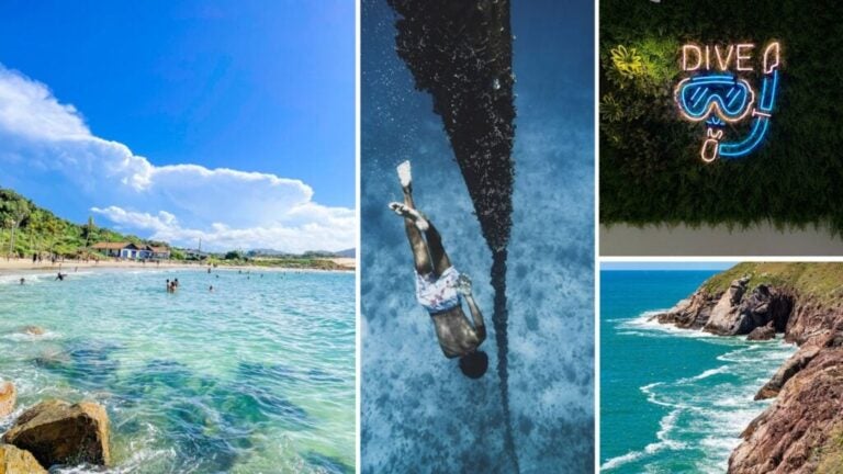 diving schools in florianopolis