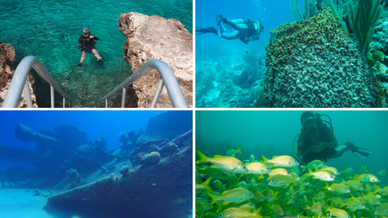 The best places for beginners and advanced divers in San Andrés.