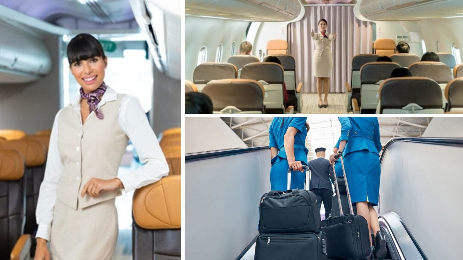 Where to find the best flight attendant job openings? Holafly