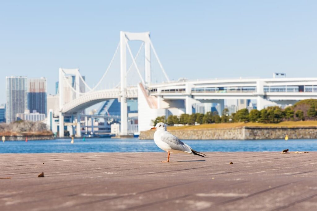 Odaiba Seaside Park