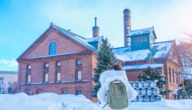 sapporo snow festival