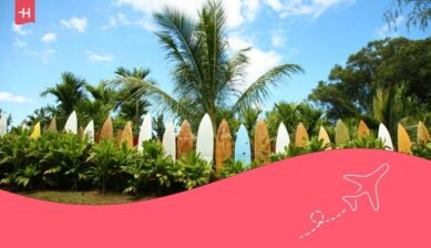 complete guide to surfing in Hawaii