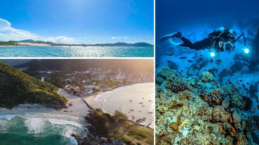 scuba diving in florianopolis