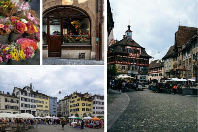 Mercado tradicional al aire libre en una ciudad de Suiza, puestos de flores y una tienda vegana.