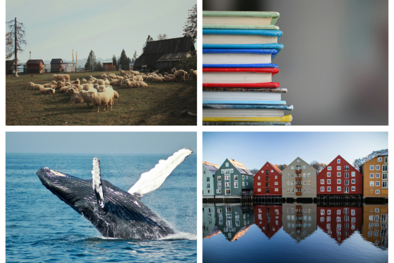 types of volunteering in norway