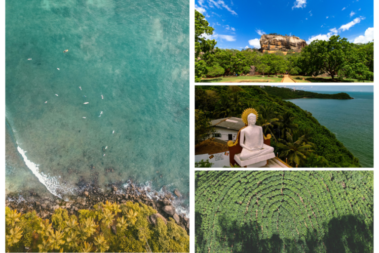 types-of-volunteering-sri-lanka