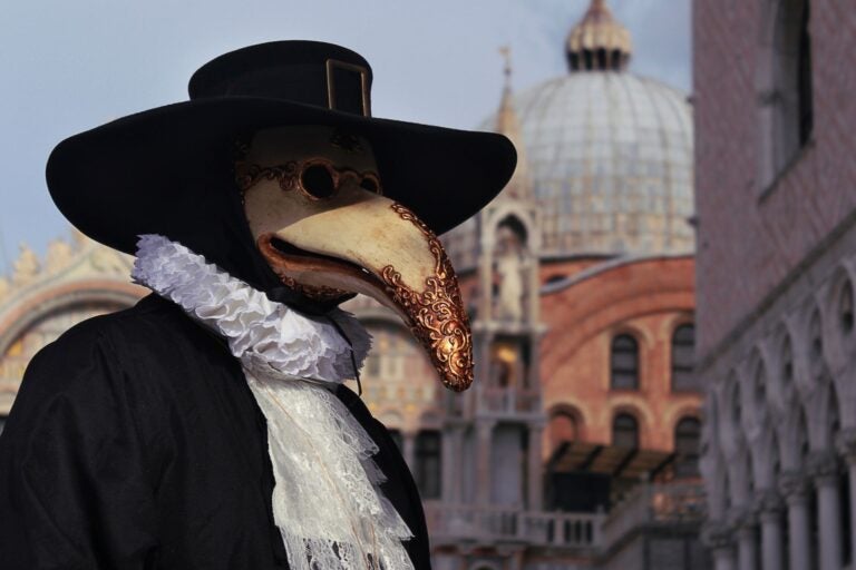 The historical profession1