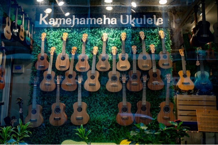 Ukulele shop in Hawaii