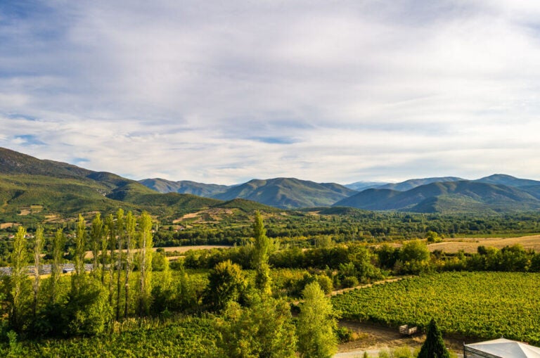 Green vineyards stretching across a valley surrounded by rolling mountains.