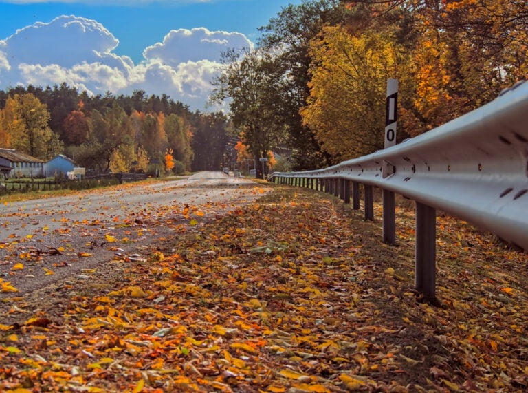 An Asphalt Road - and Shoulder - Covered in Fallen Orange Autumn Leaves
