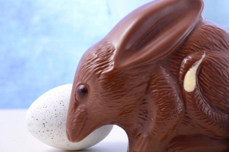 Australian milk chocolate Bilby Easter egg