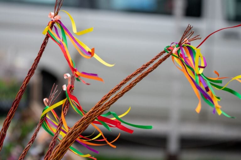 braided willow branches