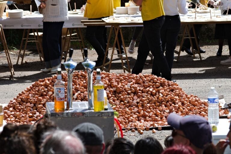 Making giant Easter omelette