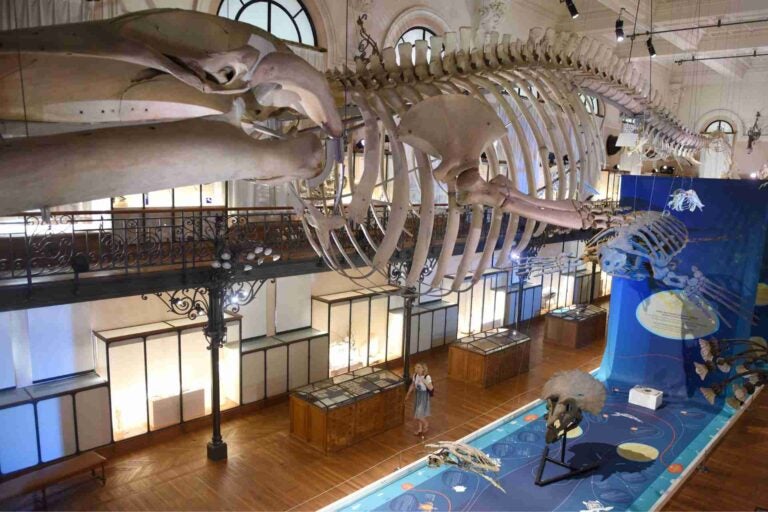 Oceanographic Museum of Monaco