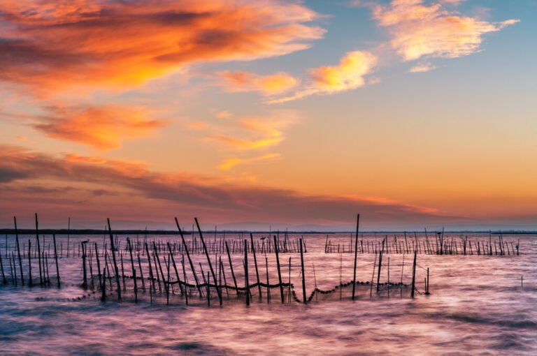 Orange and pink sunset reflected across the waters of Albufera lagoon near Valencia.