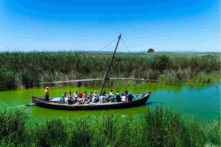  Albufera Lake 
