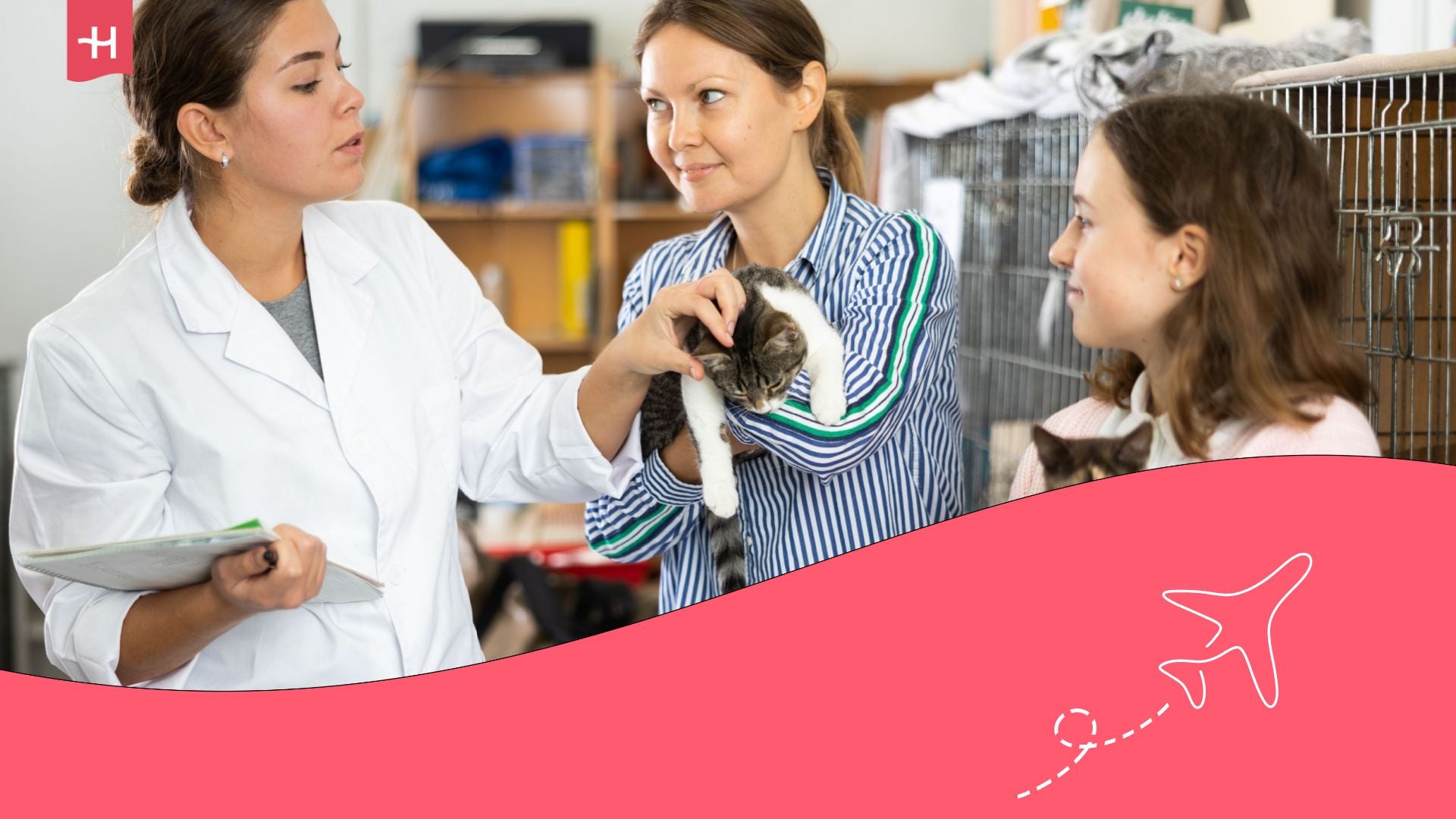 A pet getting vaccinated from a government-approved veterinarian