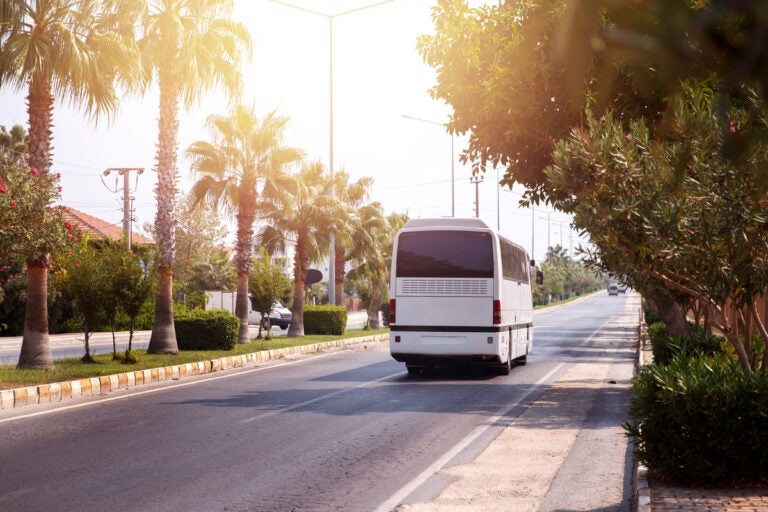 Tourist bus traveling through a sunny city lined with palm trees