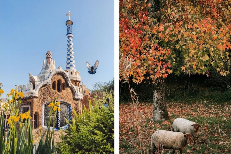 Europe in Spring and fall.