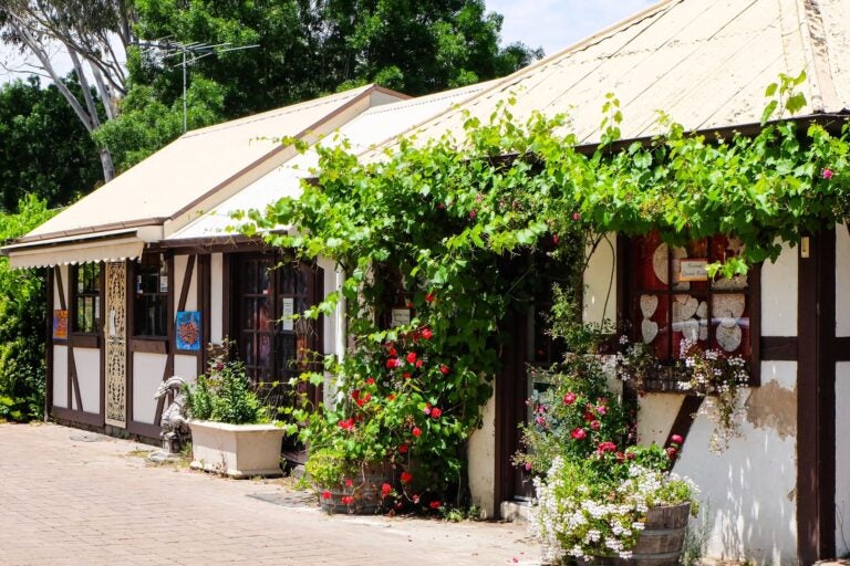 Shops and building in Hahndorf