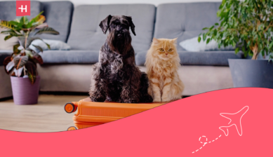 Traveling with pets