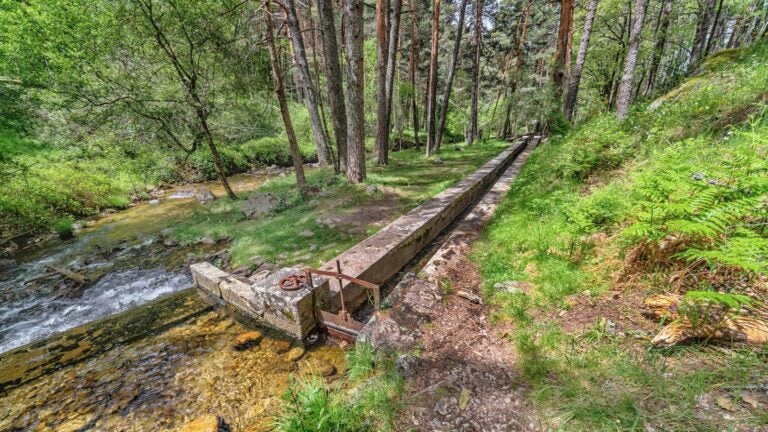 green trails in the forest in sierra de guadarrama