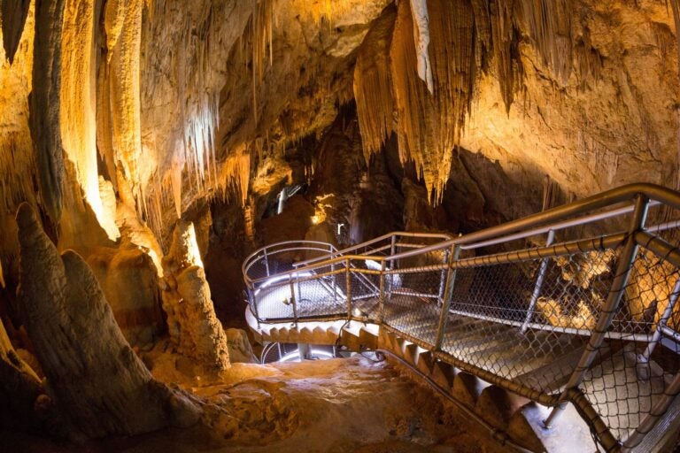 View inside the Hastings Caves.