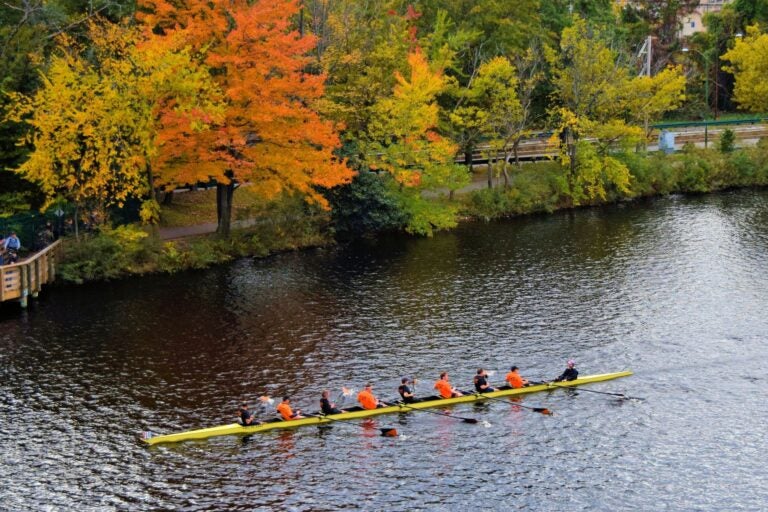 Head of the Charles Regatta Charles River. 