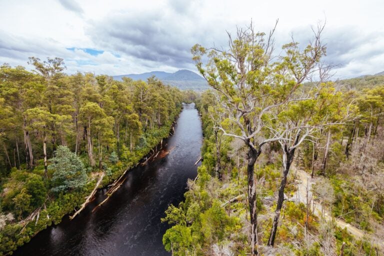Tahune Airwalk landscape around the Huon River