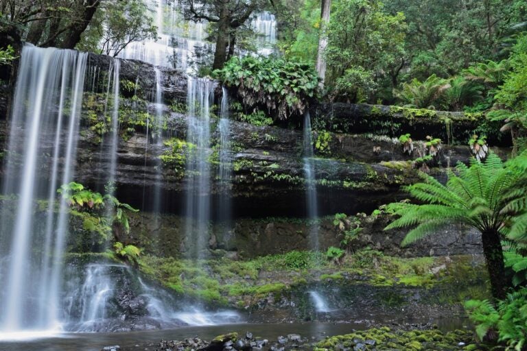 Russell falls in Mount Field National Park. 