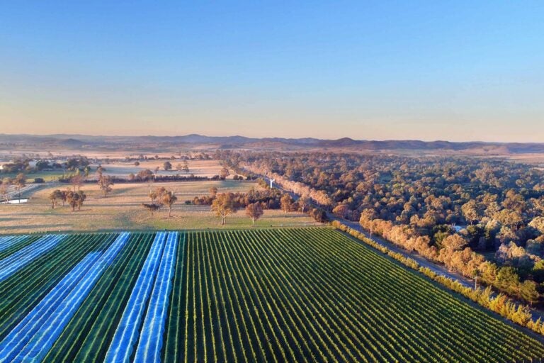 Murrumbateman Wine Region. 
