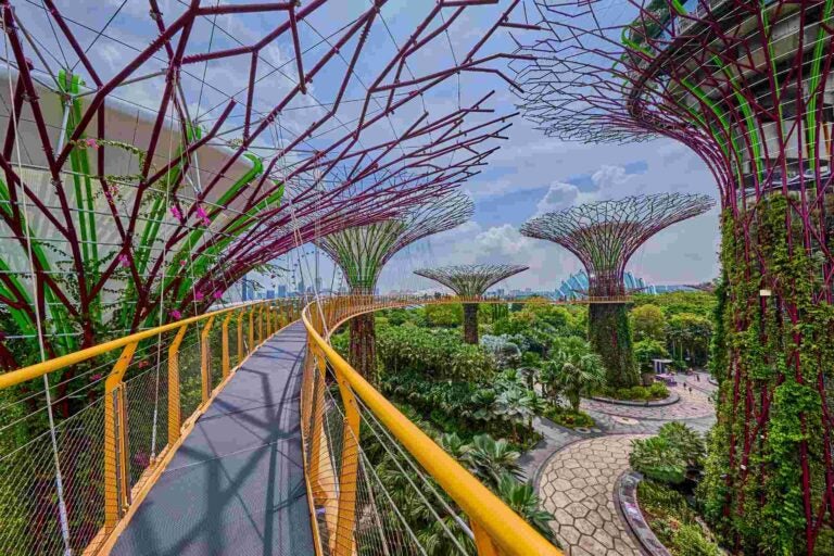 Singapore’s Gardens by the Bay