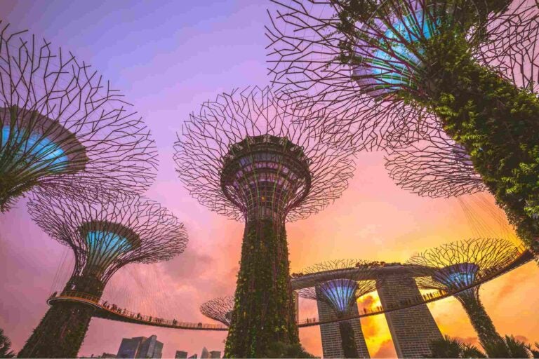 Singapore’s Gardens by the Bay